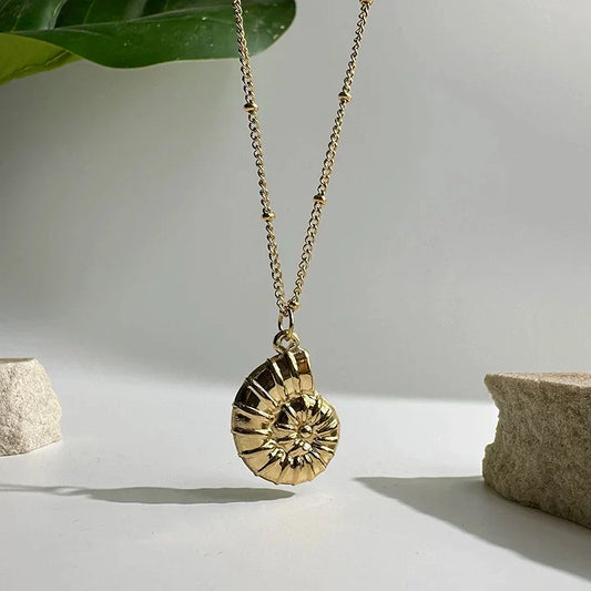 Seashell